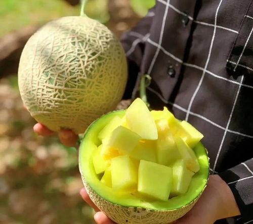 娱乐吃瓜的瓜哪里来的,探寻网络热点的背后故事